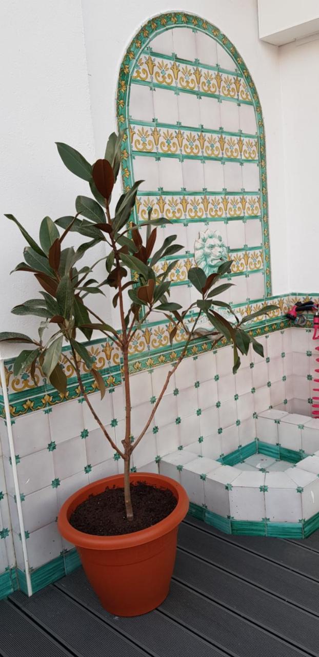 Lux Home - Sierpes Terrace Seville Luaran gambar